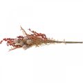 Floristik24 Konstgjorda växter höstdekoration tistels bär ormbunkar 65cm gäng