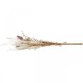 Vallmo kapslar deco torkade blommor konstgjord ormbunke kräm 63cm