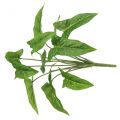 Bukett av gyllene murgröna konstgjord bindning grön 40cm | Floristik24.se