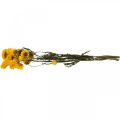 Floristik24 Torkad Blomma Gul Halm Blomma Helichrysum Torrdekorationsgäng 50cm 45g