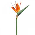 Floristik24 Strelizie reginae konstgjord blomma orange paradisfågel L85cm