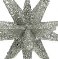 Floristik24 Stjärnor med glimmer champagne 11,5 cm 4st