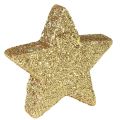 Floristik24 Scatter stars ljus guld glimmer 4-5cm 40st