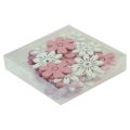 Floristik24 Scatter dekoration bord blommor trä vit rosa lila 3,5cm 36st