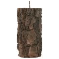 Floristik24 Pelarljus trädstam dekorativ ljus brun 130/65mm 1st