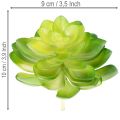 Konstgjord suckulent, grön, för dekoration i skål eller vas, 10 cm, 4 stycken | Floristik24.se