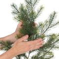 Konstgjord dekorativ grangren för kreativ blomsterodling, 175 cm | Floristik24.se