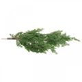 Floristik24 Konstgjord cypressgren grön att hänga upp från 5 dekorativa grenar 75cm