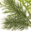 Konstgjord grangren för festlig dekoration, 22 cm, 2 stycken | Floristik24.se