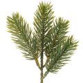 Floristik24 Konstgjord grön grangren för vinterdekorationer, 25 cm, 24 stycken