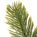 Konstgjord grön grangren för vinterdekorationer, 25 cm, 24 stycken | Floristik24.se