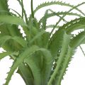 Floristik24 Aloe konstgjord grön konstgjord växt till stickgrön växt 38Øcm