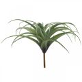 Floristik24 Deco Tillandsia konstgjord konstgjord växt för att sticka grön Ø45cm