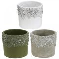 Floristik24 Keramikbehållare, blomkruka med ekdekor, växtkruka grön / vit / grå Ø13cm H11,5cm uppsättning med 3 st