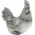 Kyckling för plantering, påskdekoration, växtkruka, vår, dekorativ kycklingbetonglook H30cm