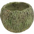 Floristik24 Kruka i betong i antik utseende grön, brun växtkruka rund Ø15,5cm