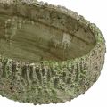 Floristik24 Planteringskärl betong oval antik look grön, brun 24×14×13cm
