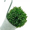Floristik24 Blomkruka för upphängning av vintagelook växtkruka grön vit tvättad Ø11,5cm