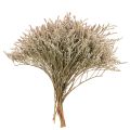 Floristik24 Torkad strandlavendelbukett Statice natur 1kg