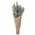 Floristik24 Bukett torkade blommor Bukett ängsblommor blå H50cm 100g