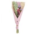 Floristik24 Torkad blombukett halmblommor strand lila rosa 58cm