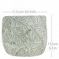 Floristik24 Planteringskärl keramik grön vit grå gran grenar Ø13,5cm H13,5cm