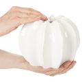 Pumpa-dekorativ vas, glansig, höstdekoration för vardagsrum, 19 cm | Floristik24.se