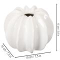 Pumpa-dekorativ vas, glansig, höstdekoration för vardagsrum, 19 cm | Floristik24.se
