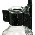 Floristik24 Dekorativ vas dekorativ flaskglas med metallstativ svart Ø13cm