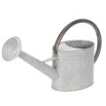 Floristik24 Vintage vattenkanna i metall, silvergrå, snygg trädgårdsdekoration, blomvas, L53cm H29cm