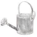 Floristik24 Vintage kruka Ø17cm, dekorativ vattenkanna, metallkruka shabby chic