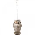 Floristik24 Vintage Lantern Owl Trädgårdslykta värmeljushållare Guld H29cm