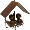 Floristik24 Deco fåglar för upphängning rost deco metall brun 14,5×16cm