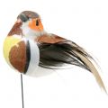 Floristik24 Minifåglar på tråd vit/brun 5-7cm 16p