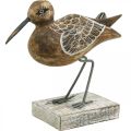 Floristik24 Träfågelskulptur Badrumsinredning Vattenfågel H22cm