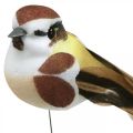 Floristik24 Vårdekoration, fåglar på tråd, konstfågel brun, vit H3cm 12st