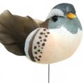 Floristik24 Fågeldekoration, fåglar på tråd, vårdekoration blå, brun H3,5cm 12st