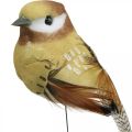 Floristik24 Fjäder, fågel på tråd, deco fåglar naturfärger H7,5cm 12st