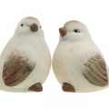 Floristik24 Keramiska fåglar, vår, dekorativa fåglar vita, bruna H7/7,5cm 6st