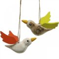 Floristik24 Deco fåglar trä för att hänga fågel vårdekoration 10,5cm 6st