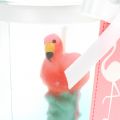 Floristik24 Lyktaglas med flamingoljus 9cm