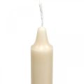 Floristik24 PURE vaxljus pinnljus kräm Sahara 250/23mm naturligt vax 4 st