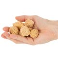 Valnötter till dekoration, naturprodukt, 3-4 cm, 300 g | Floristik24.se