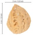 Valnötter till dekoration, naturprodukt, 3-4 cm, 300 g | Floristik24.se