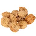 Floristik24 Valnötter, en naturprodukt för bordsdekoration och gör-det-själv-projekt. Naturliga valnötter, 4-5 cm, 300 g.