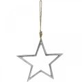 Floristik24 Juldekorationsstjärna, adventsdekoration, stjärnhänge silver B24,5cm