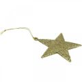 Floristik24 Juldekoration stjärnhänge gyllene glitter 10cm 12st