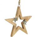 Floristik24 Julstjärna att hänga Stjärna trädekoration Jul H22cm