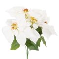 Floristik24 Konstgjord julstjärna, vit, storblommig, dekorativ växt, 40 cm