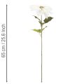 Konstgjord vit julstjärna, stor blommande grendekoration, 65 cm, 2 stycken | Floristik24.se
